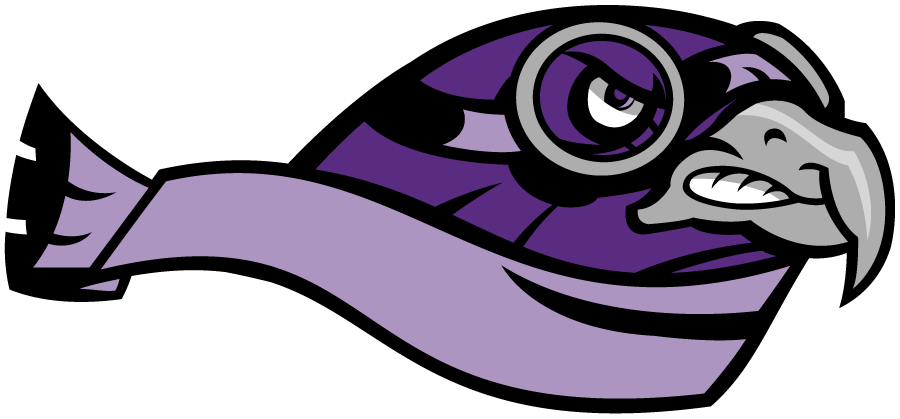 Stonehill Skyhawks 2005-2012 Secondary Logo diy iron on heat transfer
